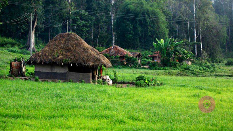 Wayanad Travel Packages