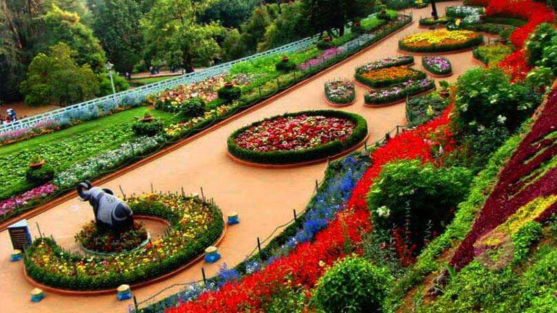 Ooty Botanical Garden and flower show